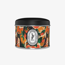Evergreen - Bougie Parfumée
